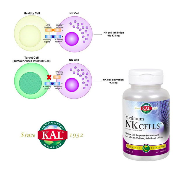 Maximum NK Cells 60 cápsulas (sistema inmunitario) de KAL