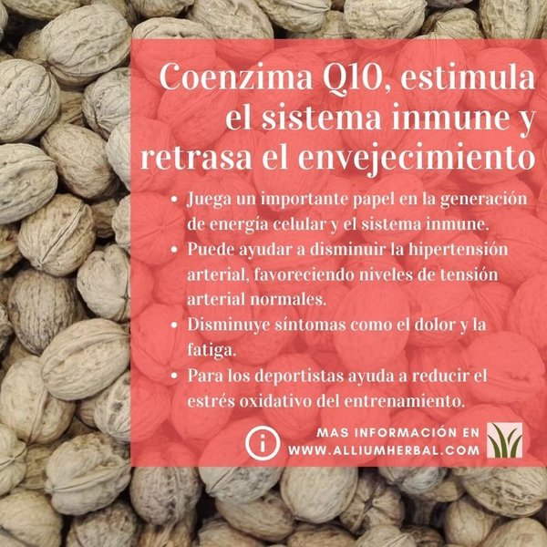 Coenzima Q-10, 30 mg 60 cápsulas de Solgar