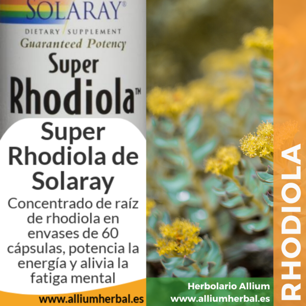 Super Rhodiola 60 cápsulas de Solaray