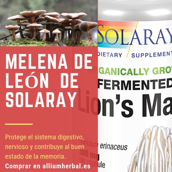 Melena de león 500 mg 60 cápsulas de Solaray