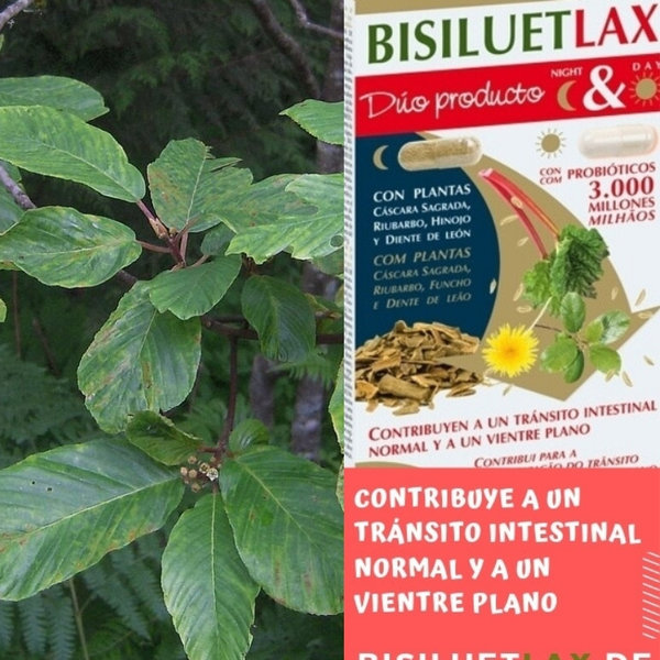 Bisiluet-lax 40 cápsulas de Dietéticos Intersa