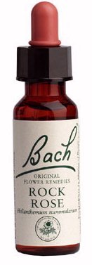Flor de Bach Rosa silvestre 20 ml de Bach Remedies