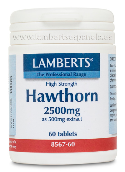 Espino blanco 2.500 mg 60 tabletas de Lamberts