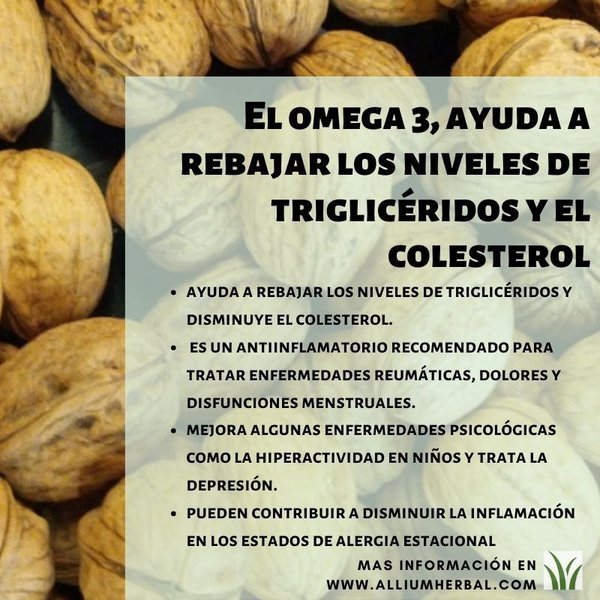 Omega vegetal bio 500 gramos (mix de semillas) de El Granero Integral