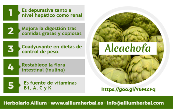 Alcachofera bio 120 cápsulas de 350 mg de El Granero Integral