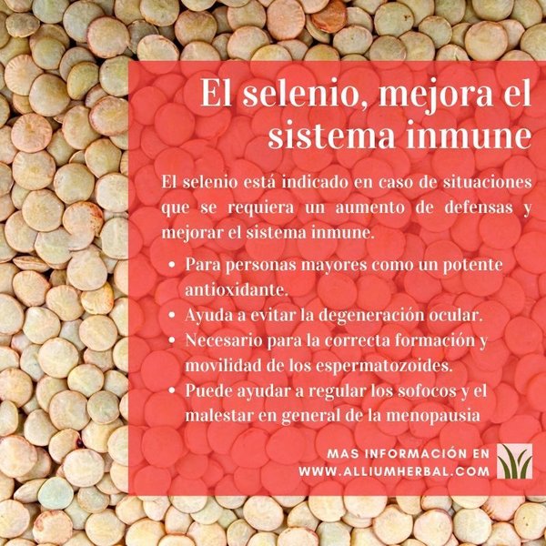Selenio Bio 60 cápsulas de El Granero Integral