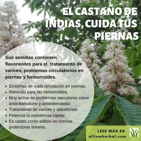 Indian chestnut extract 50 ml Soria Natural
