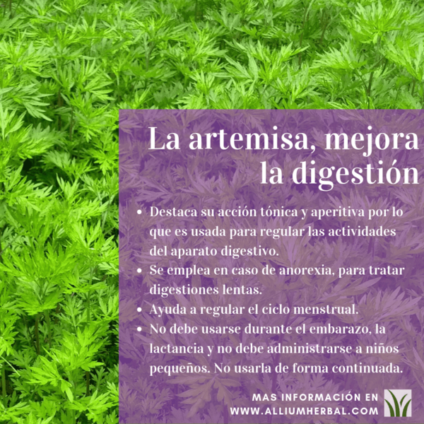 ARTEMISA EXTRACTO S. XXI 50 ml de Soria Natural