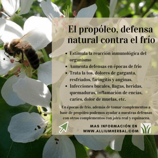 Propolin 48 comprimidos de Soria Natural