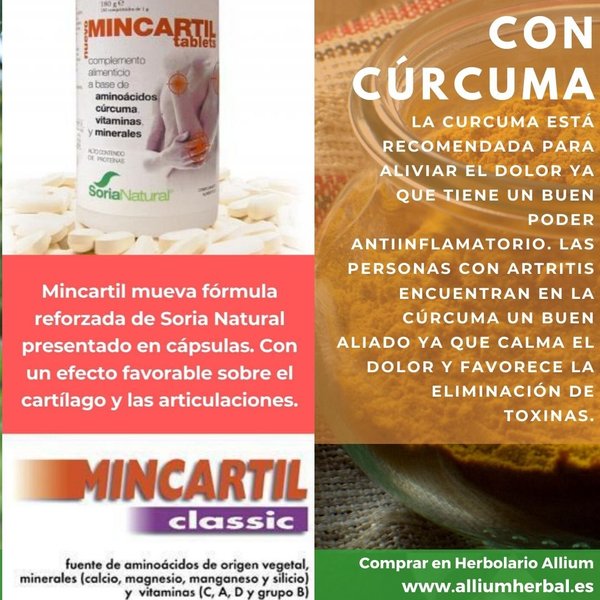 Mincartil Reforzado Curcuma 300 gr de Soria Natural
