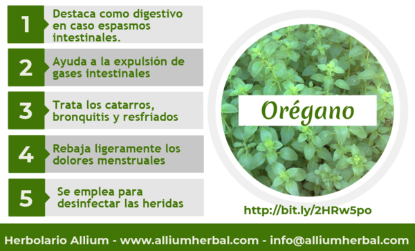 Aceite esencial de oregano Puro 15 ml. de Soria Natural