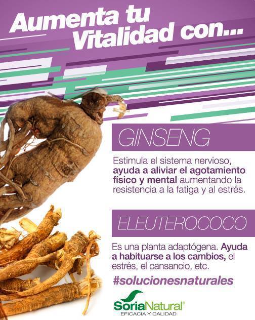Ginseng 24 cápsulas de Soria Natural