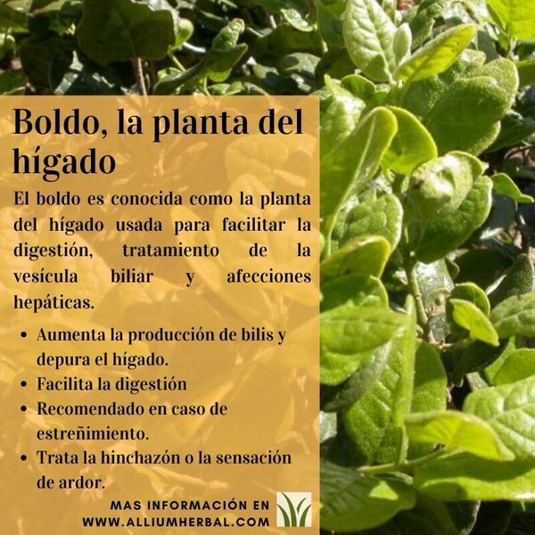 2-C Hepavesical Boldo Complex 30 cápsulas de Soria Natural