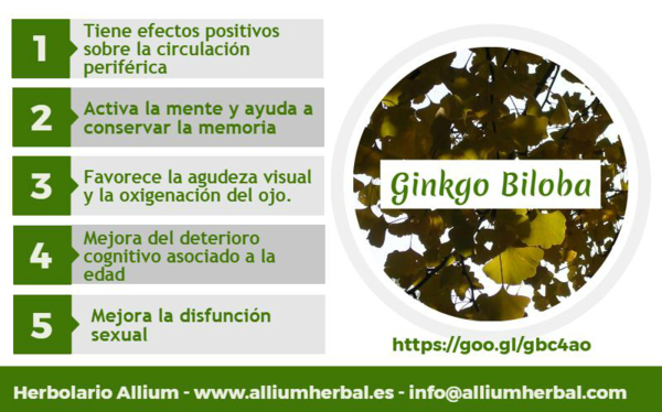 Ginkgo 80 comprimidos de GSN