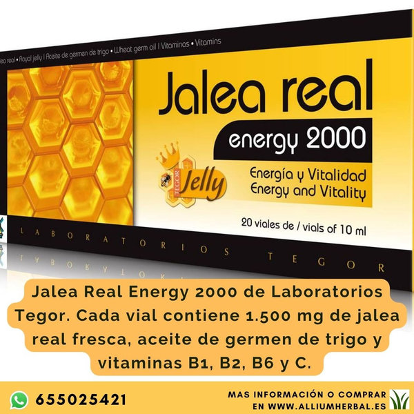 Jalea Real Energy 2000 de Laboratorios Tegor