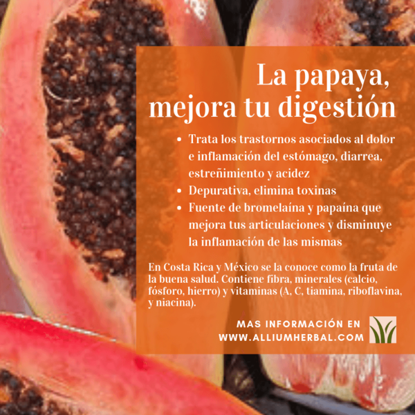 Papaya 60 cápsulas 500 mg de Integralia