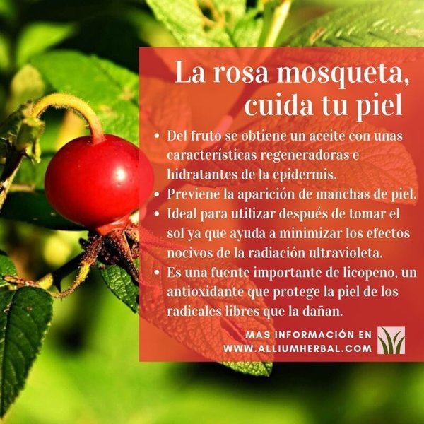 Natural peeling of rosehip of chile 50 ml of Esential´arôms